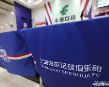 kaiyun体育官方app-上海申花遗憾出局备战法甲冲刺阶段尼斯调整名单以备欧篮联，连对手都承认：马赛扳平良机的简单介绍